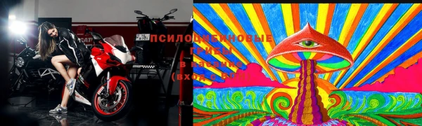 spice Яровое